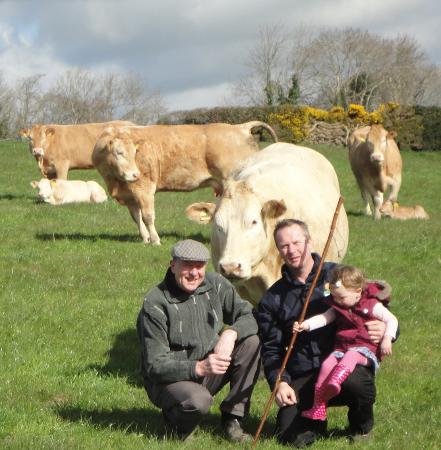 Robert, David and Jessie with the cows out to grass spring '15